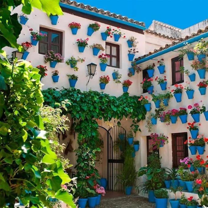 Апартаменты Cordvba Osario Centro Кордова Экстерьер фото