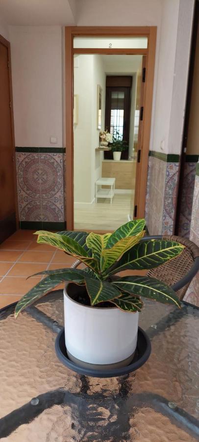 Апартаменты Cordvba Osario Centro Кордова Экстерьер фото